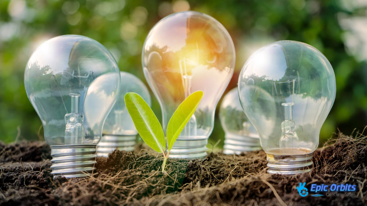 How Renewable Energy Sources Are Shaping the Future