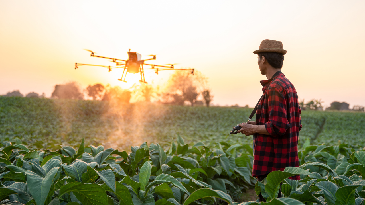 How Robotics Are Shaping the Future of Agriculture