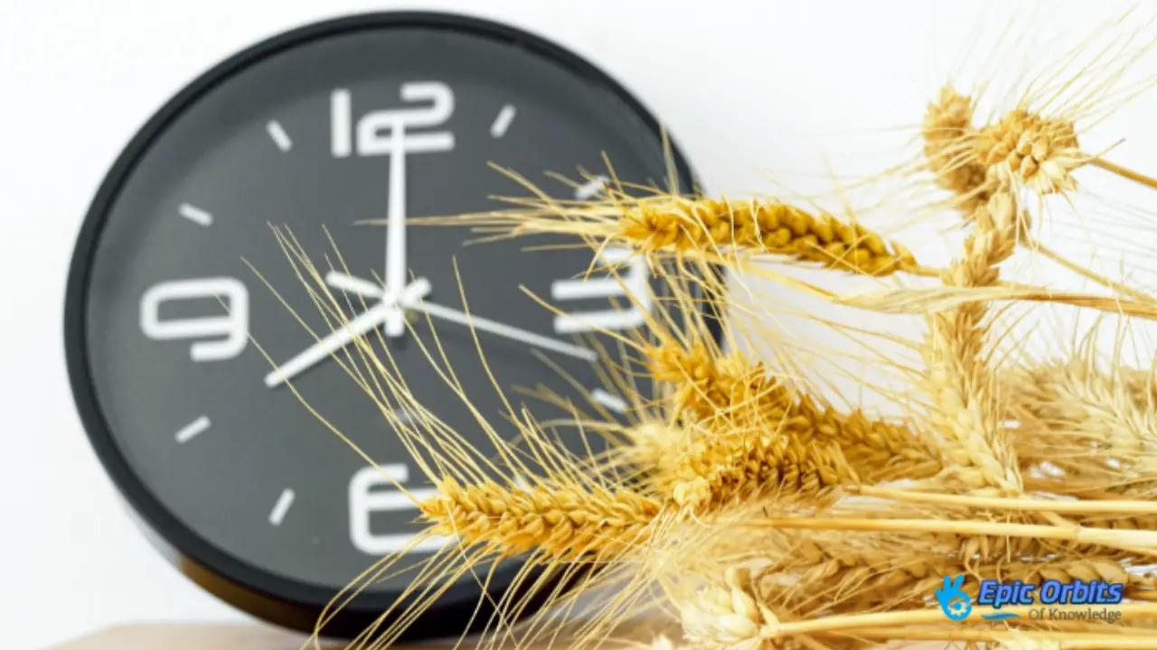 How Robotics Are Shaping the Future of Agriculture