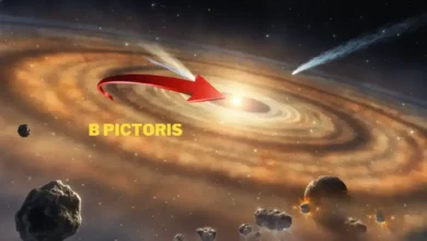 Beta Pictoris: Unlocking the Secrets of Planet Formation
